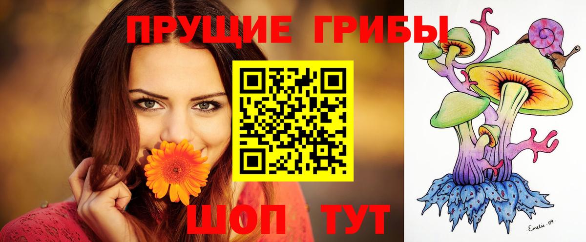 Псилоцибиновые грибы мухоморы  Вход с VPN  Псилоцибиновые грибы MAGIC MUSHROOMS  Кушва 