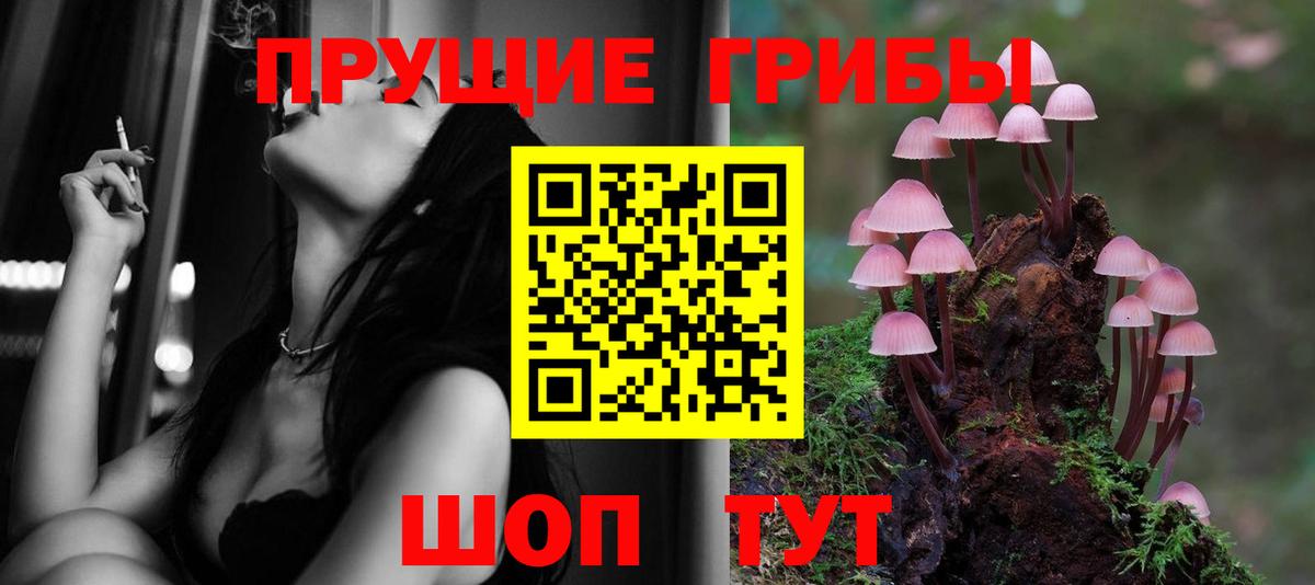 Галлюциногенные грибы GOLDEN TEACHER Кушва